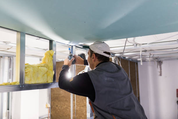 Best Radiant Barrier Insulation  in Norway, MI